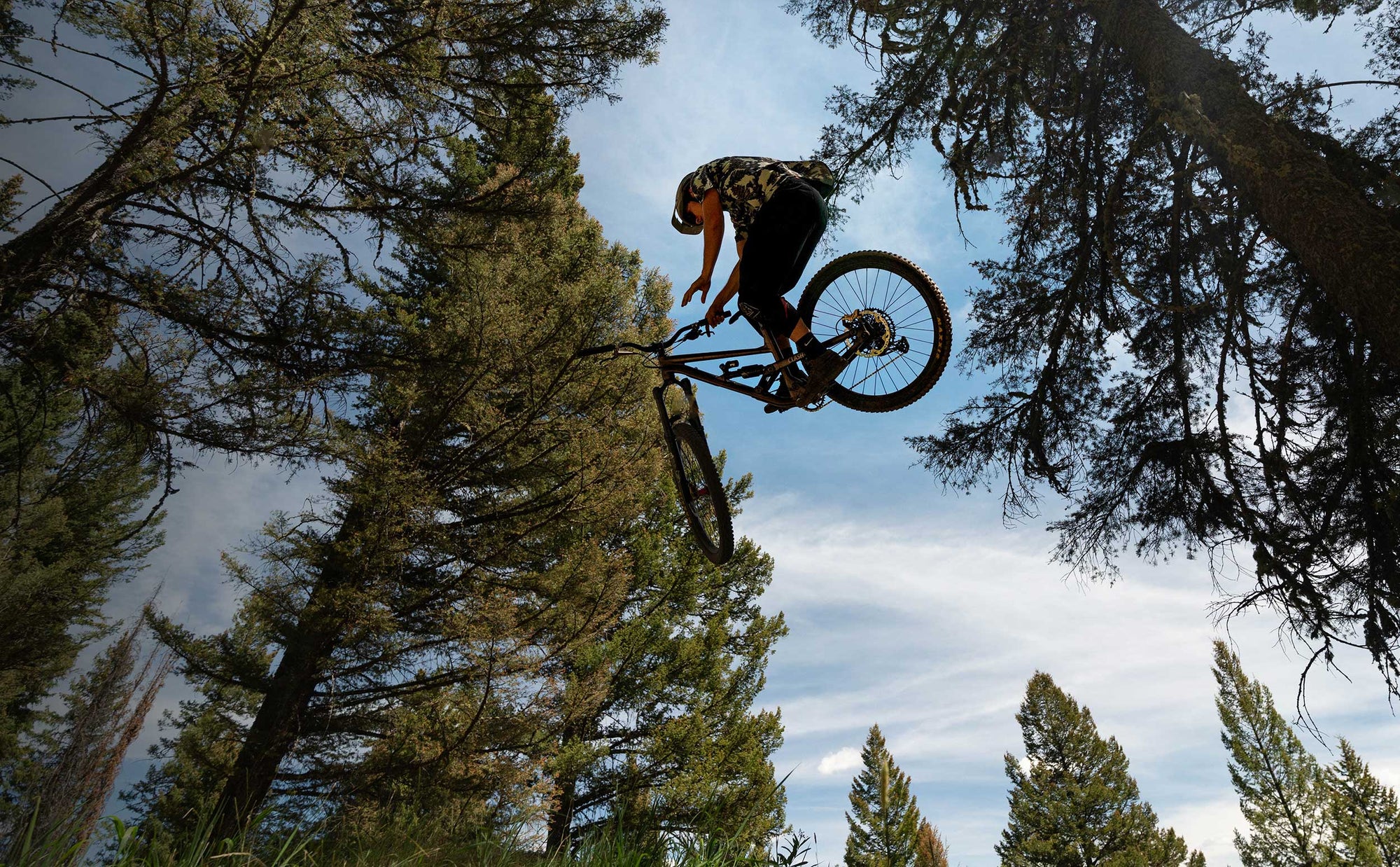 Mountain Raised, Performance Driven